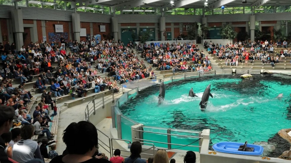 Delfinarium Zoo Duisburg